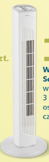 Auchan Wentylator Selecline oferta