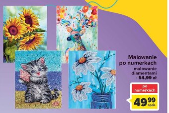 Carrefour Malowanie diamentami oferta