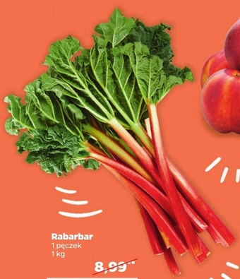 Netto Rabarbar oferta