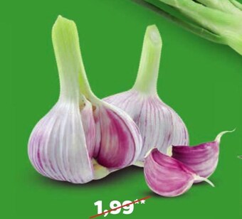 Netto Czosnek oferta