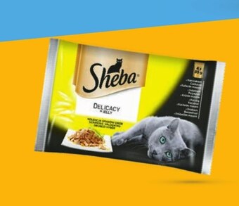 Netto Karma dla kota Sheba oferta