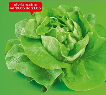 Carrefour Express Sałata oferta