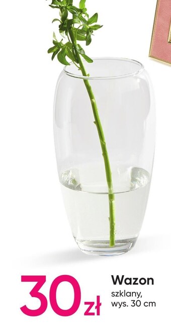 Pepco Wazon Pepco oferta