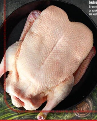 Polomarket Kaczka oferta