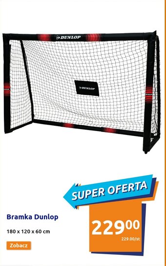 Action Bramka Dunlop oferta