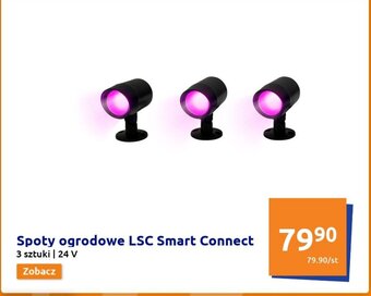 Action Spoty ogrodowe LSC Smart Connect oferta