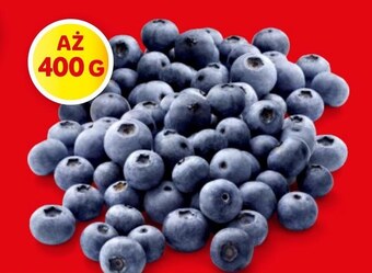 Lidl Borówki amerykańskie oferta