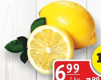 Prim Market Cytryna oferta