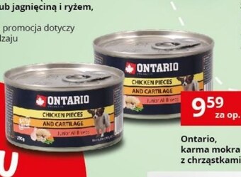 Karma dla psa Ontario