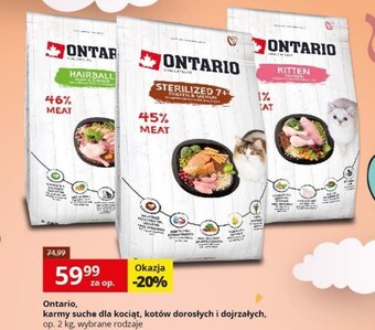 Kakadu Karma dla kota Ontario oferta