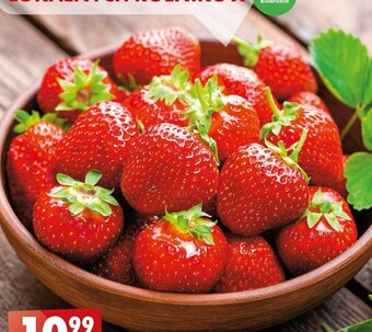 Biedronka Truskawki oferta