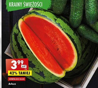 Biedronka Arbuz oferta