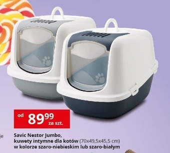Kakadu Kuweta dla kota Savic oferta