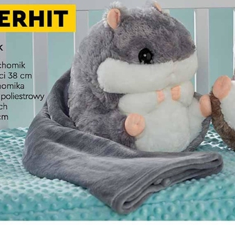 Biedronka Koc oferta