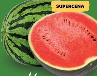 Netto Arbuz oferta