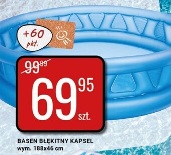 bi1 Basen oferta