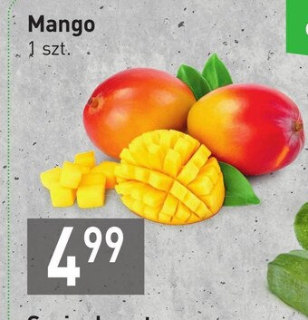 Stokrotka Mango oferta
