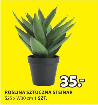 JYSK Sztuczna roślina oferta