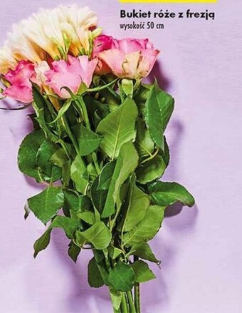 Biedronka Bukiet róż oferta