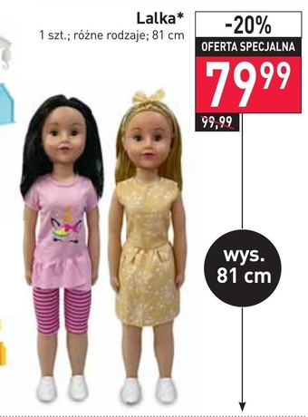 Stokrotka Lalka oferta