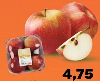 Netto Jabłka oferta