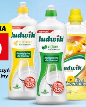 Lidl Ludwik Płyn do naczyń miętowy 1040 g oferta