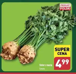 Kaufland Seler z nacią 1 SZT oferta