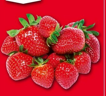 Selgros Truskawki oferta