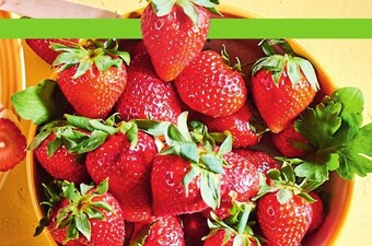 Makro Truskawki oferta