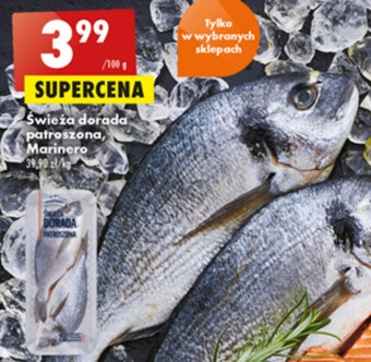 Biedronka Dorada Marinero oferta
