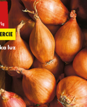 Biedronka Cebula oferta