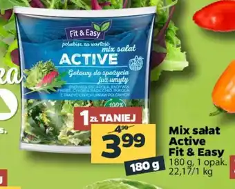 Netto Mix sałat Active 180g oferta