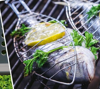 Selgros Dorada oferta