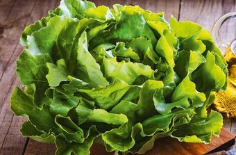 Selgros Sałata masłowa oferta