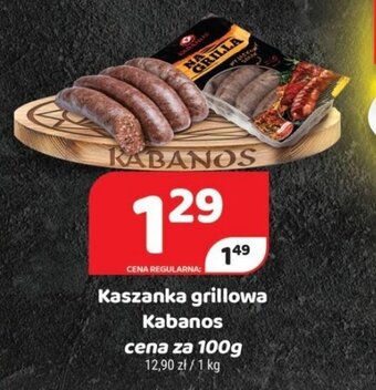 Delfin Kaszanka grillowa Kabanos 100g oferta