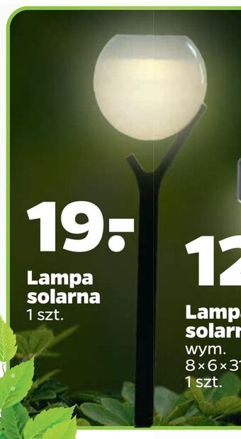 Netto Lampa solarna oferta