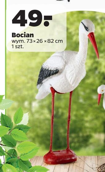 Netto Bocian oferta