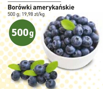 Stokrotka Borówki oferta