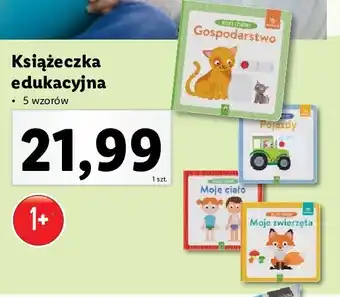 Lidl Książka pojazdy oferta