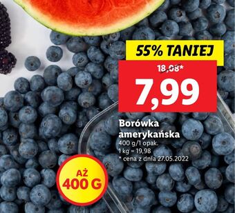 Lidl Borówki amerykańskie oferta