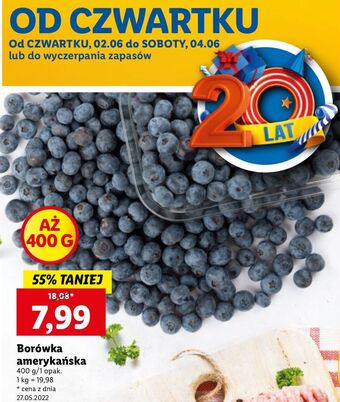 Lidl Borówki amerykańskie oferta
