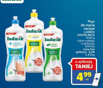 Carrefour Płyn do naczyń miętowy Ludwik oferta