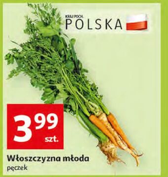 Auchan Włoszczyzna oferta