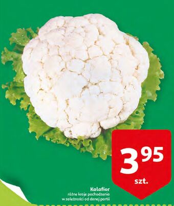 Auchan Kalafior oferta
