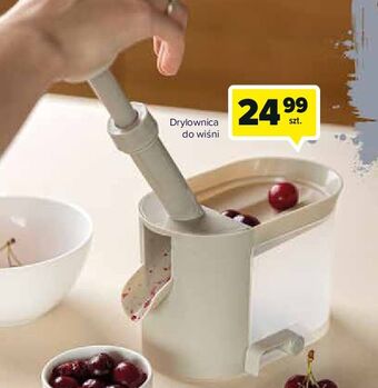 Carrefour Drylownica oferta
