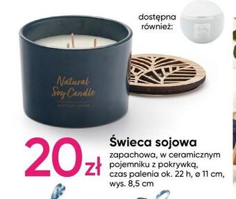 Pepco Świeca sojowa 8.5 cm oferta