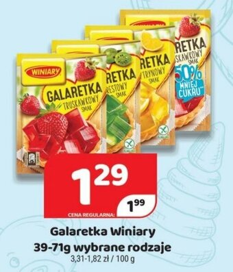 Delfin Galaretka Winiary 39-71g oferta