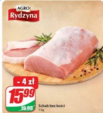 Dino Schab bez kości Agro Rydzyna oferta