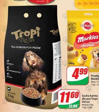 Dino Karma dla psa z wołowiną Tropi oferta