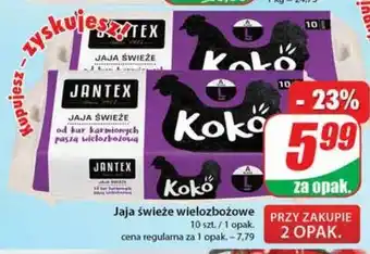 Dino Jaja wielozbożowe Jantex oferta